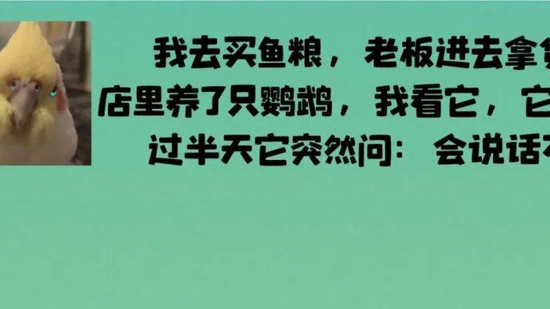 成都烘焙原料批发价格背后的行业秘密